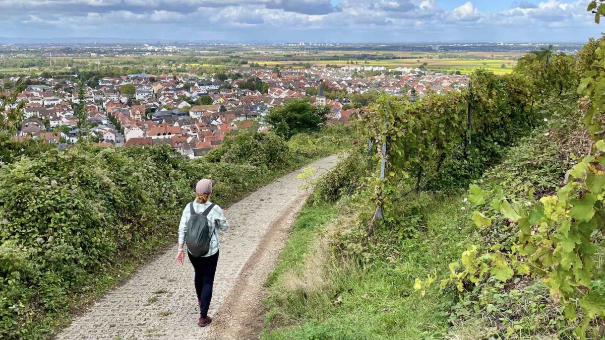 Most our time spent in Germany included this lovely view—the town of Schriesheim and its beautiful vineyards on the hills above it!