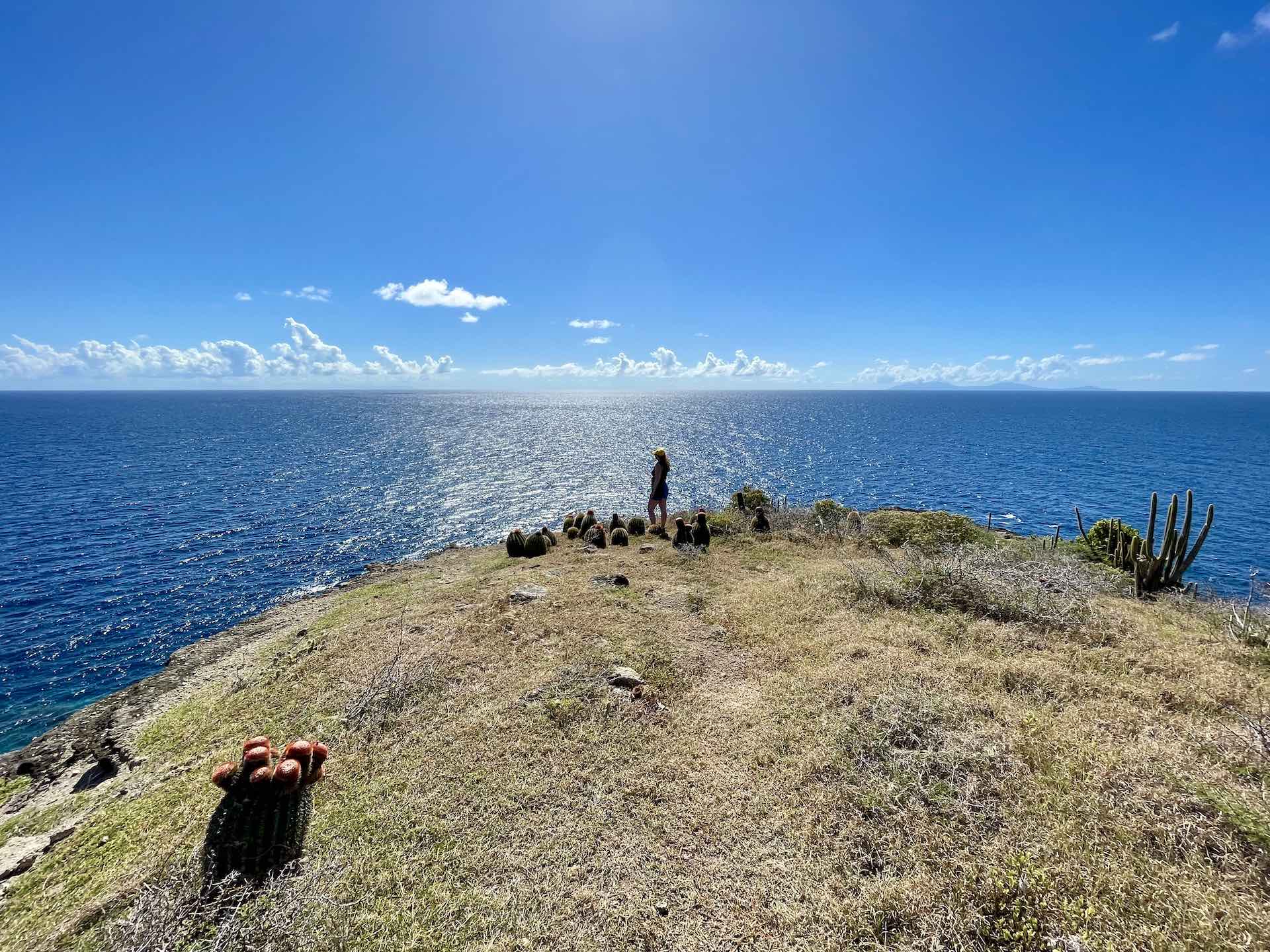 Looking out across the ocean part way through a lovely hike on Antigua. Not a bad way to celebrate the holidays!